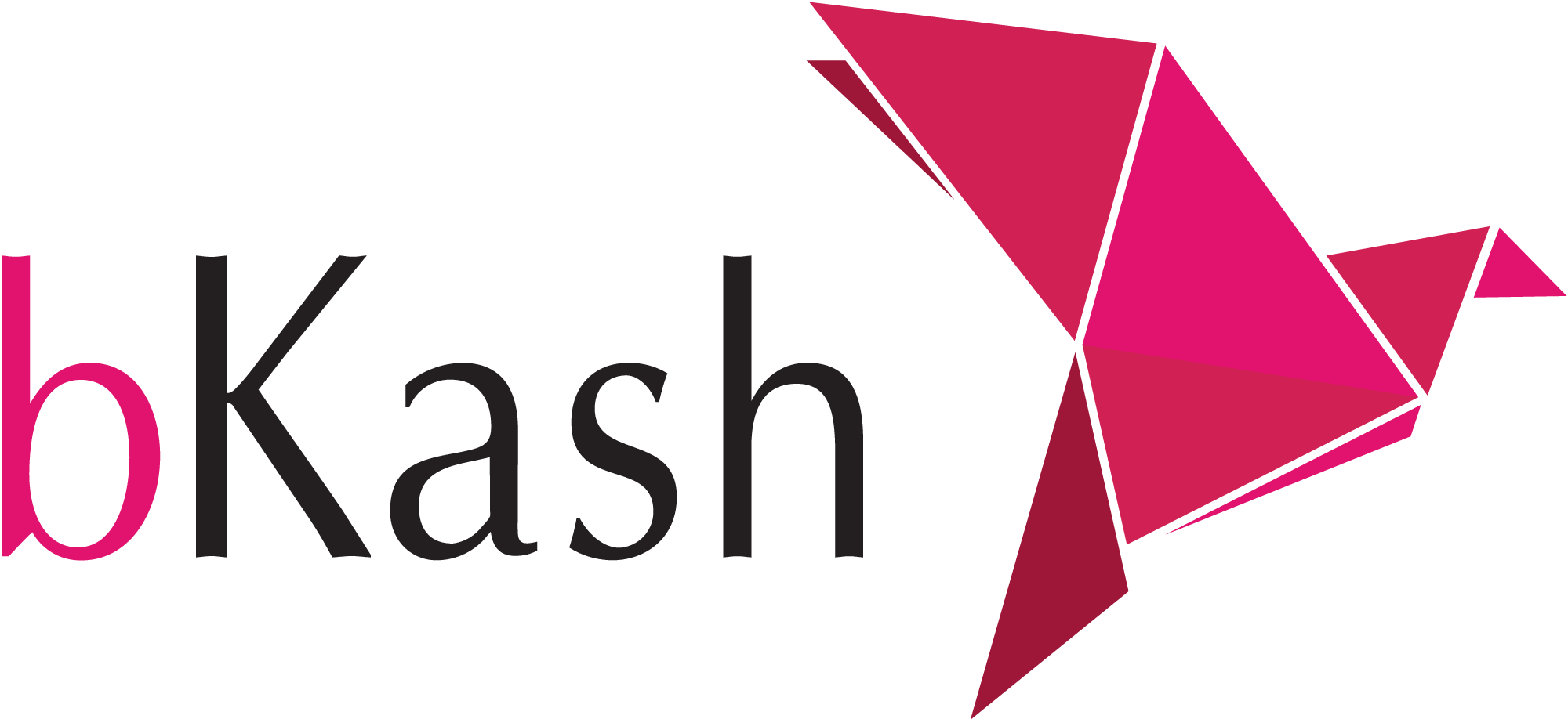 bKash Brand Logo PNG Transparent Image